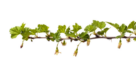 Similar image 12996793