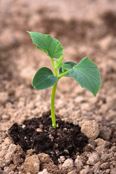 Similar image 12996794