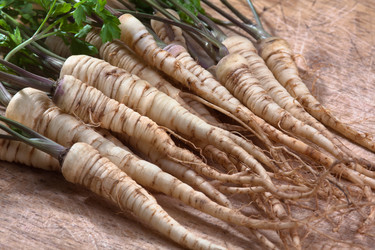 Similar image 12996795