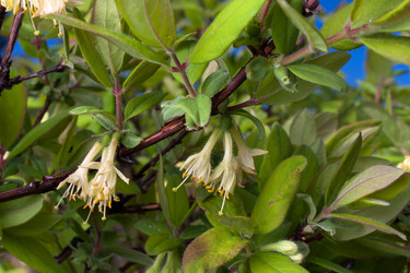 Similar image 12996796