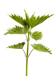 Similar image 12996797