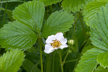 Similar image 12998632