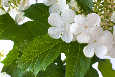 Similar image 12998633