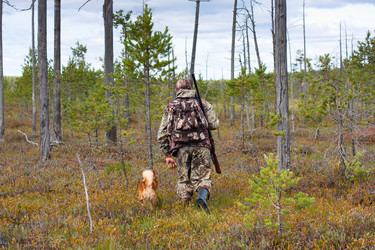 Similar image 12998723