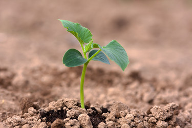 Similar image 12998373