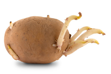 Similar image 12998374