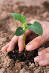 Similar image 12998525