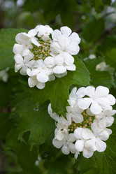 Similar image 12998377