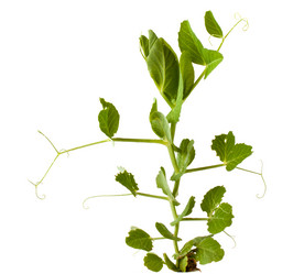 Similar image 12998381