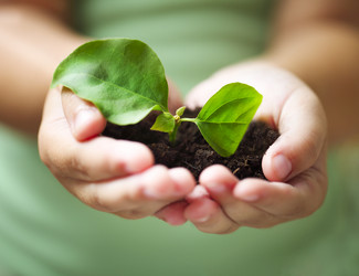 Similar image 12989623