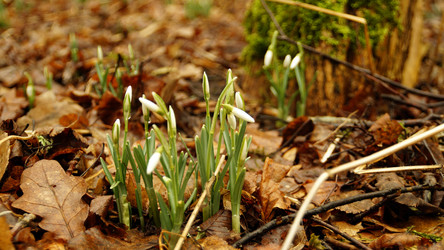 Similar image 12690640