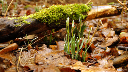 Similar image 12690641