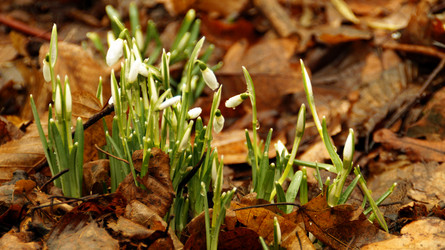 Similar image 12690642