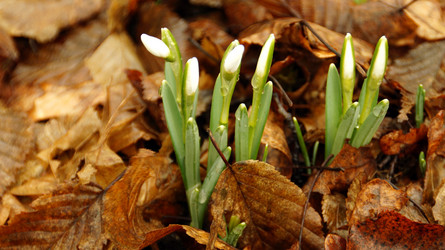 Similar image 12690644