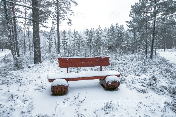 Скамейка в зимнем парке