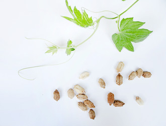 Similar image 12980198