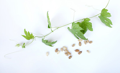 Similar image 12980199