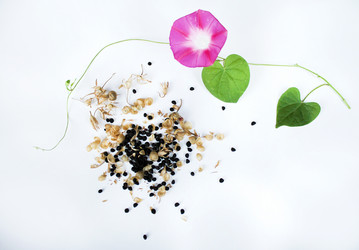 Similar image 12980242