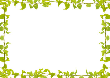 Similar image 12996893