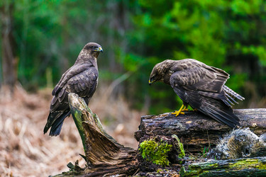 Similar image 12692196