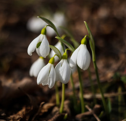 Similar image 12694238