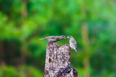 Similar image 12692216