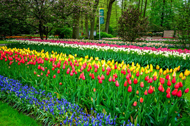 Similar image 12693662