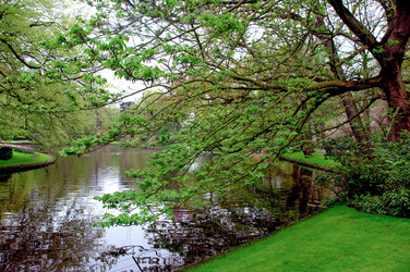 Similar image 12693663