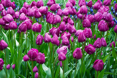 Similar image 12693664