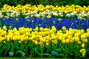 Similar image 12693666