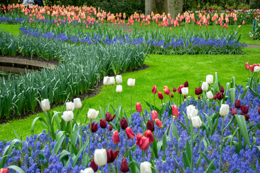 Similar image 12693625