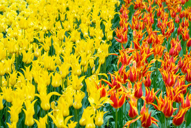 Similar image 12693627