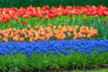 Similar image 12693629