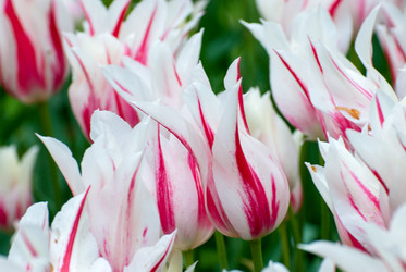 Similar image 12693630