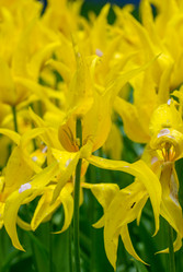 Similar image 12693631