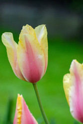 Similar image 12693632