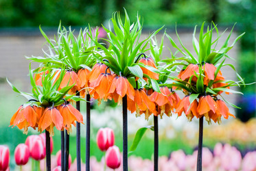 Similar image 12693634