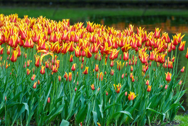 Similar image 12693635