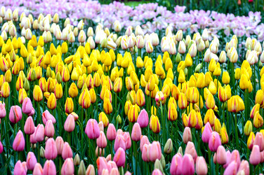 Similar image 12693637