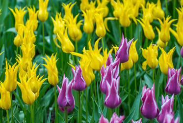 Similar image 12693638