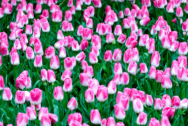 Similar image 12693639