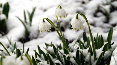 Similar image 12690670