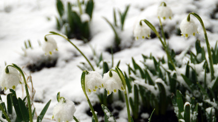 Similar image 12690671