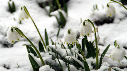 Similar image 12690672