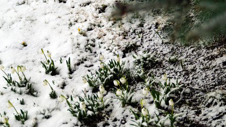 Similar image 12690673