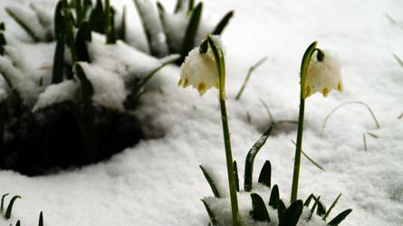 Similar image 12690674