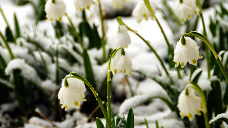 Similar image 12690675