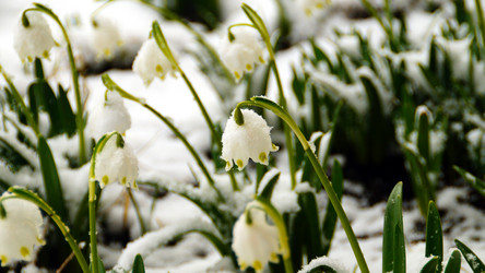 Similar image 12690676