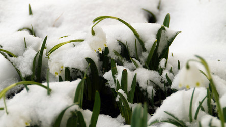 Similar image 12690678