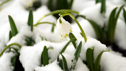 Similar image 12690679